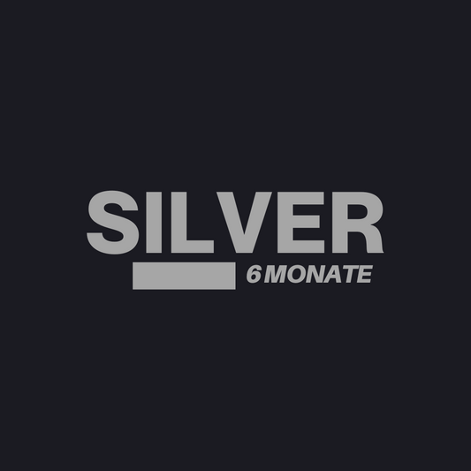 SILVER 6 Monatsabo - 8h/Monat Training